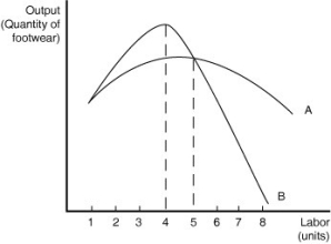 Figure 7-3 Fancy Footwear manufactures shoes.Figure 7-3 shows Fancy Footwear's marginal product of labour and average product of labour curves in the short run. -Refer to Figure 7-3.For what quantity of labour does production display diminishing returns?