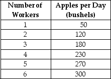 Table 7-2 Table 7-2 summarises production at the Crunchy Apple Orchard for the month of April 2005. -Refer to Table 7-2.What is the average product of labour when the orchard employs 5 workers?