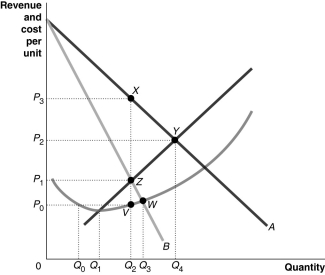 Figure 9-8 Figure 9-8 reflects the cost and revenue structure for a monopoly that has been in business for a very long time. -Refer to Figure 9-8.Use the figure above to answer the following questions. a.Identify the curves labeled A and B.Identify the curve which contains both point Y and point Z.Identify the curve which contains both point V and point W. b.What is the profit-maximising quantity and what price will the monopolist charge? c.What area represents total revenue at the profit-maximising output level? d.What area represents total cost at the profit-maximising output level? e.What area represents profit? f.What is the profit per unit (average profit)at the profit-maximising output level? g.If this industry was organised as a perfectly competitive industry,what would be the profit-maximising price and quantity? h.What area represents the deadweight loss as a result of a monopoly?