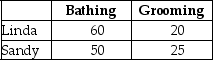 <strong>Table 13-1 Linda and Sandy own The Preppy Puppy,a dog grooming business.Table 13-1 lists the number of dogs Linda and Sandy can each bathe and groom in one week. Refer to Table 13-1.Select the statement that accurately interprets the data in the table.</strong> A)Sandy has a comparative advantage in dog grooming. B)Linda has a comparative advantage in dog grooming. C)Linda has a comparative advantage in dog grooming and dog bathing. D)Sandy has a comparative advantage in dog bathing.