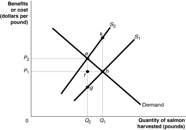 Figure 15-14 Figure 15-14 shows the market for Atlantic salmon,a common resource.The current market equilibrium output of Q<sub>1</sub> is not the economically efficient output.The economically efficient output is Q<sub>2</sub>. -Refer to Figure 15-14.The current market equilibrium output is partly the result of overfishing.In that case,what does S<sub>2</sub> represent?
