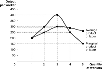 Fill in the missing values in the following table.Draw one graph showing how total output increases with the quantity of workers hired,and another graph showing the marginal product of labor and the average product of labor.