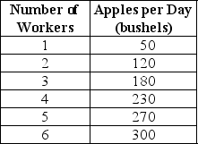 <strong>Table 11-1 Table 11-1 summarizes production at the Crunchy Apple Orchard for the month of April 2005. Refer to Table 11-1.What is the marginal product of the 4th worker?</strong> A)230 bushels B)57.4 bushels C)50 bushels D)12.4 bushels