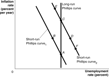 Figure 28-9 -Refer to Figure 28-9. A follower of the new classical macroeconomics would argue that ________ like that pursued by Paul Volcker in 1979, would result in a movement from C to A.