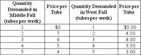 <strong>Table 16-2 Neem Products sells its Ayurvedic Neem toothpaste in two completely isolated markets with demand schedules as shown in Table 16-2. The average cost of production is constant at $2 per tube. Refer to Table 16-2.What is the total revenue received from both markets combined?</strong> A) $30 B) $34 C) $68 D) $70