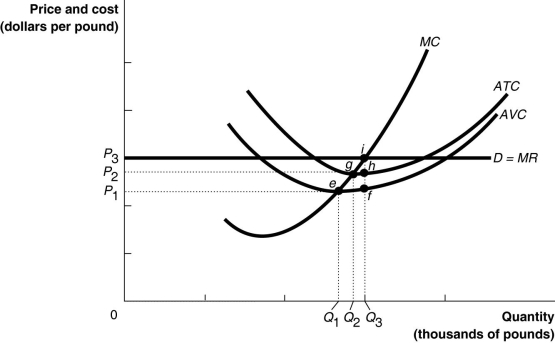 Figure 12-7 Figure 12-7 illustrates the cost curves of a perfectly competitive firm. -Refer to Figure 12-7.If the market price is P₁
