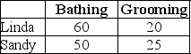 <strong>Table 9-1   Linda and Sandy own The Preppy Puppy, a dog grooming business. Table 9-1 lists the number of dogs Linda and Sandy can each bathe and groom in one week. Refer to Table 9-1.Select the statement that accurately interprets the data in the table.</strong> A)Linda has a comparative advantage in dog bathing. B)Sandy has an absolute advantage in dog bathing. C)Sandy has a comparative advantage in dog bathing. D)Linda has a comparative advantage in dog grooming and dog bathing. <div style=padding-top: 35px> 