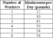 Table 11-1 Table 11-1 shows the technology of production at the Matsuko's Mushroom Farm for the month of May. -Refer to Table 11-1.What is the marginal product of the 4th worker?