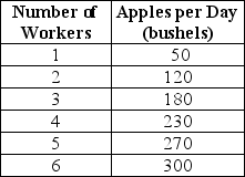 Table 11-2 Table 11-2 summarizes production at the Crunchy Apple Orchard for the month of April. -Refer to Table 11-2.What is the average product of labor when the orchard employs 5 workers?