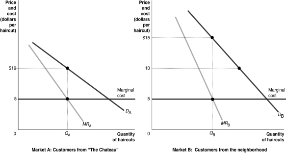 Figure 16-3 Chantal owns a hairdressing salon which caters to two main groups of customers: residents of The Chateau, a retirement community, and other residents in the neighborhood. Figure 16-3 shows the demand curves for the residents of the retirement community, labeled Market A, and other residents in the neighborhood, labeled Market B. The demand curves are not identical. -Refer to Figure 16-3.Suppose Chantal practices price discrimination.Which of the following statements is true?