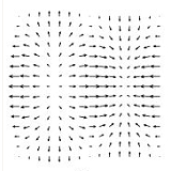 <strong>The figure below shows the contour map of a function z = f(x, y). Let \vec{F} be the gradient vector field of f, i.e., \vec{F}=\text { gradf } Which of the vector fields show \vec { F } ? </strong> A) B) C)