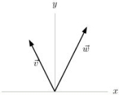  The vectors  \vec { v }  and  \vec { W }  are shown below.Determine if the following statement is true or false.    ( \vec { v } - \vec { w } ) \cdot \vec { j } > 0 <div style=padding-top: 35px>  