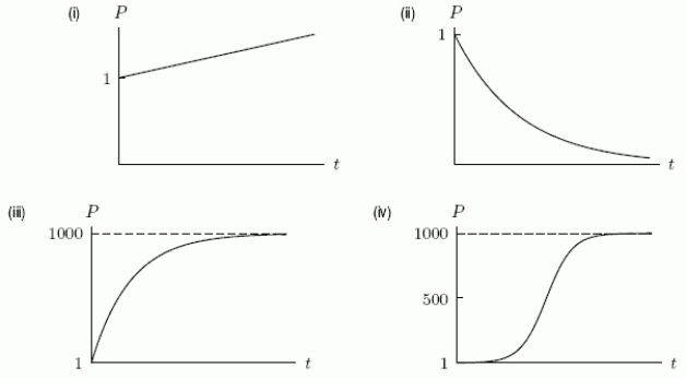The rate of change of a population for a species is given by \frac{d P}{d t}=0.05 where P measures the population in thousands at time t months.The species starts with 1000 members (P = 1)at time t = 0.Assume that the differential equation holds indefinitely.Which of the following is a graph of the population as a function of time?