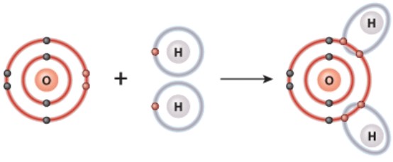 <strong>What is the name of the bond shown here? </strong> A)Hydrogen B)Polar covalent C)Ionic D)Van der Waals forces