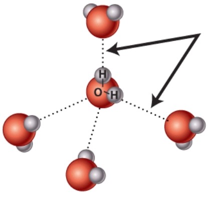 <strong>What kind of bond is indicated by the arrow in this diagram? </strong> A)Covalent B)Hydrogen C)Ionic D)Nonpolar