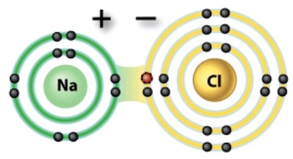 <strong>What kind of a bond is depicted in this diagram? </strong> A)Covalent B)Hydrogen C)Ionic D)Nonpolar