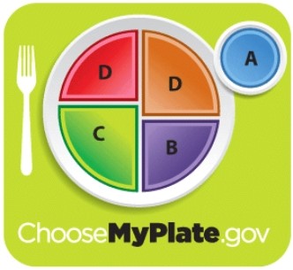 <strong>Indicate which letter represents the amount of protein you should consume. </strong> A)A B)B C)C and D D)E