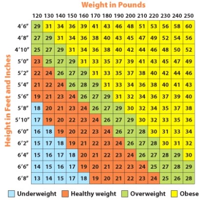 <strong>Use the body mass index to determine which number would represent the BMI for a person who is at a healthy weight? </strong> A)18 B)24 C)26 D)31
