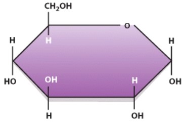 <strong>Identify the category of macronutrient from which this molecule is derived during normal conditions. </strong> A)Protein B)Lipid C)Carbohydrate D)Vitamin