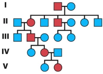 <strong>The diagram shows that the inherited trait is: </strong> A)autosomal dominant. B)autosomal recessive. C)sex-linked. D)sex influenced.