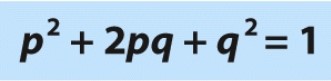 What does the 'p²' represent in this equation?  