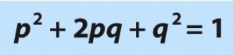 What does the 'q²' represent in this equation?  