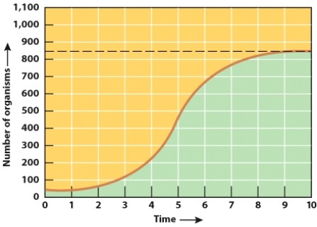 At 10 hours,the population shown in this graph has reached the: