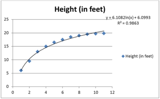 <strong>The following data,with the corresponding Excel scatterplot,show the average growth rate of Weeping Higan cherry trees planted in Washington,DC.At the time of planting,the trees were one year old and were all six feet in height. Which of the following is the correlation coefficient between Height and ln(Age)?</strong> A) −0.9863 B) 0.9863 C) −0.9931 D) 0.9931