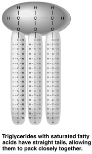 The figure above shows a triglyceride that contains unsaturated fatty acids.