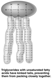 The figure above shows a triglyceride that is liquid at room temperature.