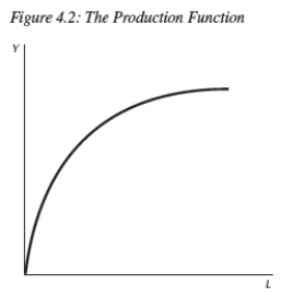 <strong> Consider Figure 4.2.The shape of this production function suggests:</strong> A)a constant marginal product of capital. B)a diminishing marginal product of capital. C)a diminishing marginal product of labor. D)an increasing marginal product of capital. E)Not enough information is given.