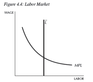 <strong> In Figure 4.4,MPL represents the __________, Represents the __________,and the intersection of the two yields __________.</strong> A)labor supply;labor demand;the equilibrium wage B)labor demand;labor supply;the equilibrium wage C)labor supply;labor demand;the equilibrium rental rate of capital D)labor demand;labor supply;the amount of capital hired E)None of the above is correct.