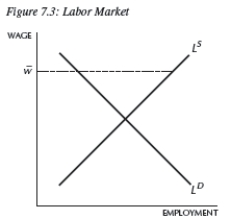-Consider the labor market depicted in Figure 7.3.Wage w¯ is called __________ and __________.