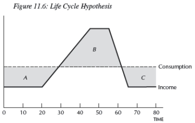 <strong> Consider Figure 11.6 of the Life Cycle hypothesis.Area(s)__________ are periods of __________,and area(s)__________ are periods of __________.</strong> A)A;borrowing;B;dissaving B)A;saving;B;borrowing C)B;dissaving;A and C;borrowing D)A and C;dissaving;B;borrowing E)a and b are correct.