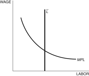 <strong>Figure 4.4: Labor Market -In Figure 4.4, MPL represents the ________, \bar { L } represents the ________, and the intersection of the two yields ________.</strong> A) labor supply; labor demand; the equilibrium wage B) labor demand; labor supply; the equilibrium wage C) labor supply; labor demand; the equilibrium rental rate of capital D) labor demand; labor supply; the amount of capital hired E) None of these answers are correct.