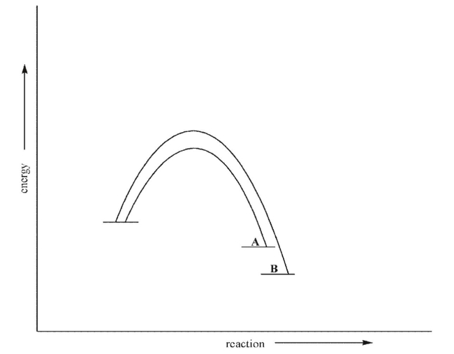 Which of the following statements is true about the two processes shown here?