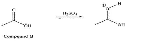 For compound A, in acid, it is the hydroxyl oxygen that is protonated to a greater extent than the carbonyl oxygen. However, for compound B in acid, it is the carbonyl oxygen that is protonated to a greater extent than the hydroxyl oxygen. Explain the difference in these results.