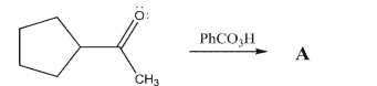 Draw the mechanism and final product for the Baeyer-Villiger reaction of methyl cyclopentyl ketone.