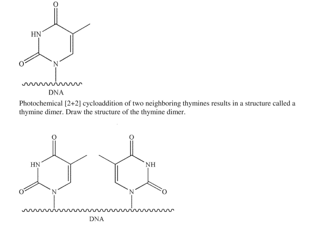 One of the monomers that makes up the DNA polymer is thymine.  