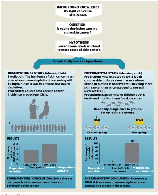 Infographic 2.6. Refer to Infographic 2.6. Taken together, do these two studies prove that lower ozone levels directly cause skin cancer in humans? Why or why not?