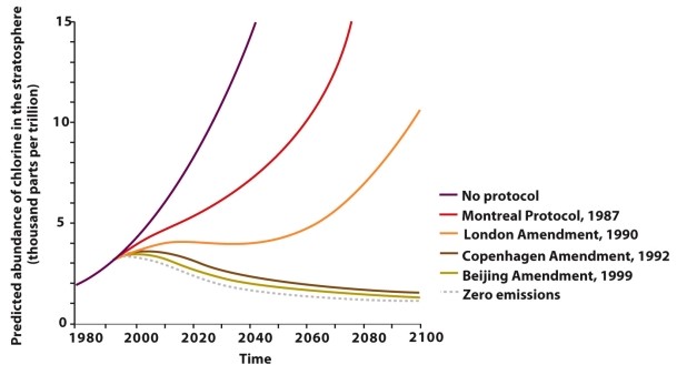 Infographic 2.7. -Refer to Infographic 2.7. Comparing the Beijing Amendment (1999) to no protocol, by what percent was chlorine in the stratosphere depleted in 2010?