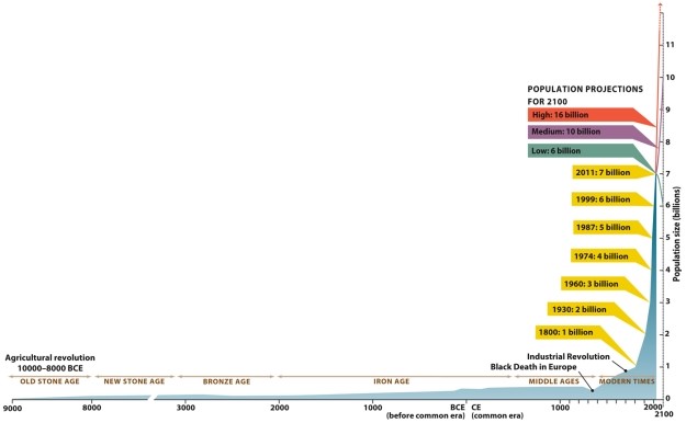 Infographic 4.1. Refer to Infographic 4.1. As an emergency food supply in World War II, 20 reindeer were taken to an island in the Pacific, along with troops stationed there. Shortly thereafter, the war ended and the troops returned home, leaving the reindeer behind. After 10 years, the population of reindeer had increased to 6,000. However, with no predators and limited food and space available on the island, the population crashed, with no reindeer remaining after 10 more years. Describe what lessons can be learned from this as it applies to human populations on Earth.