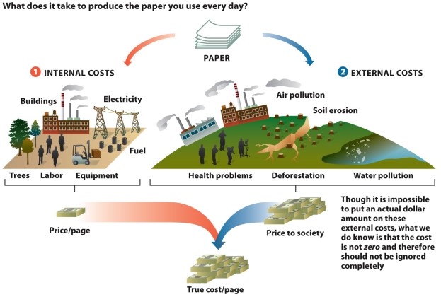 Infographic 6.5. -Refer to Infographic 6.5. Why is it important to consider the cost to an ecosystem when purchasing a product as well as considering the price of the object or service?
