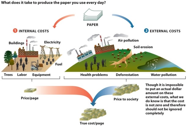 Infographic 6.5. -Refer to Infographic 6.5. You can find a double cheeseburger on the dollar menu at many fast-food chains. Use the infographic to describe how the true cost of that food product is not reflected by the sale price.