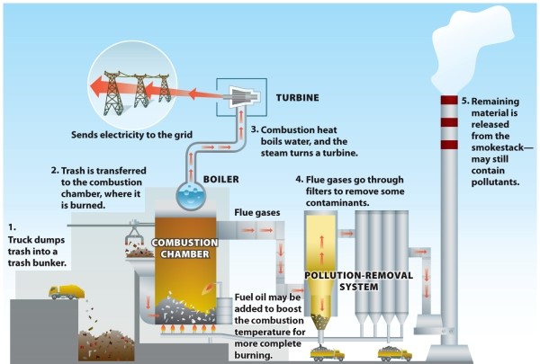 Infographic 7.3. -Refer to Infographic 7.3. Describe the pros and cons of a waste-to-energy incinerator.