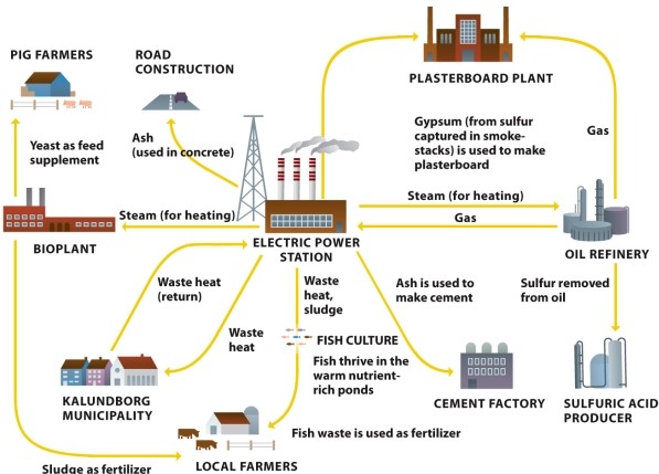 Infographic 7.7. -Refer to Infographic 7.7. Use the infographic to describe an eco-industrial park and the advantages of using such innovations.