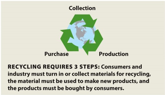 Infographic 7.8. -Refer to Infographic 7.8. What are the three required steps of recycling? Which step drives the entire process and is therefore most important?