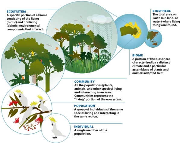Infographic 8.1. Refer to Infographic 8.1. Use the infographic to describe examples of considerations scientists had to take into account when planning Biosphere 2.