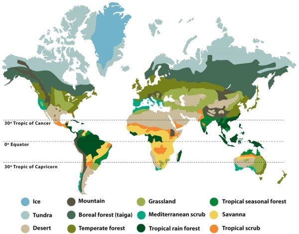 Infographic 8.4. Refer to Infographic 8.4. From the infographic, which type of biome is mostly found 30° north or south of the equator? What conditions exist there?