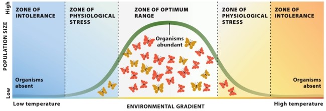 Infographic 8.6. Refer to Infographic 8.6. For several years, you have been investigating the effects of a warmer climate on a butterfly population. Recently, you have noticed that the butterflies found in what would traditionally be the zone of physiological stress are growing and breeding more successfully than the butterflies in the zone of optimum range. How do you explain this shift?